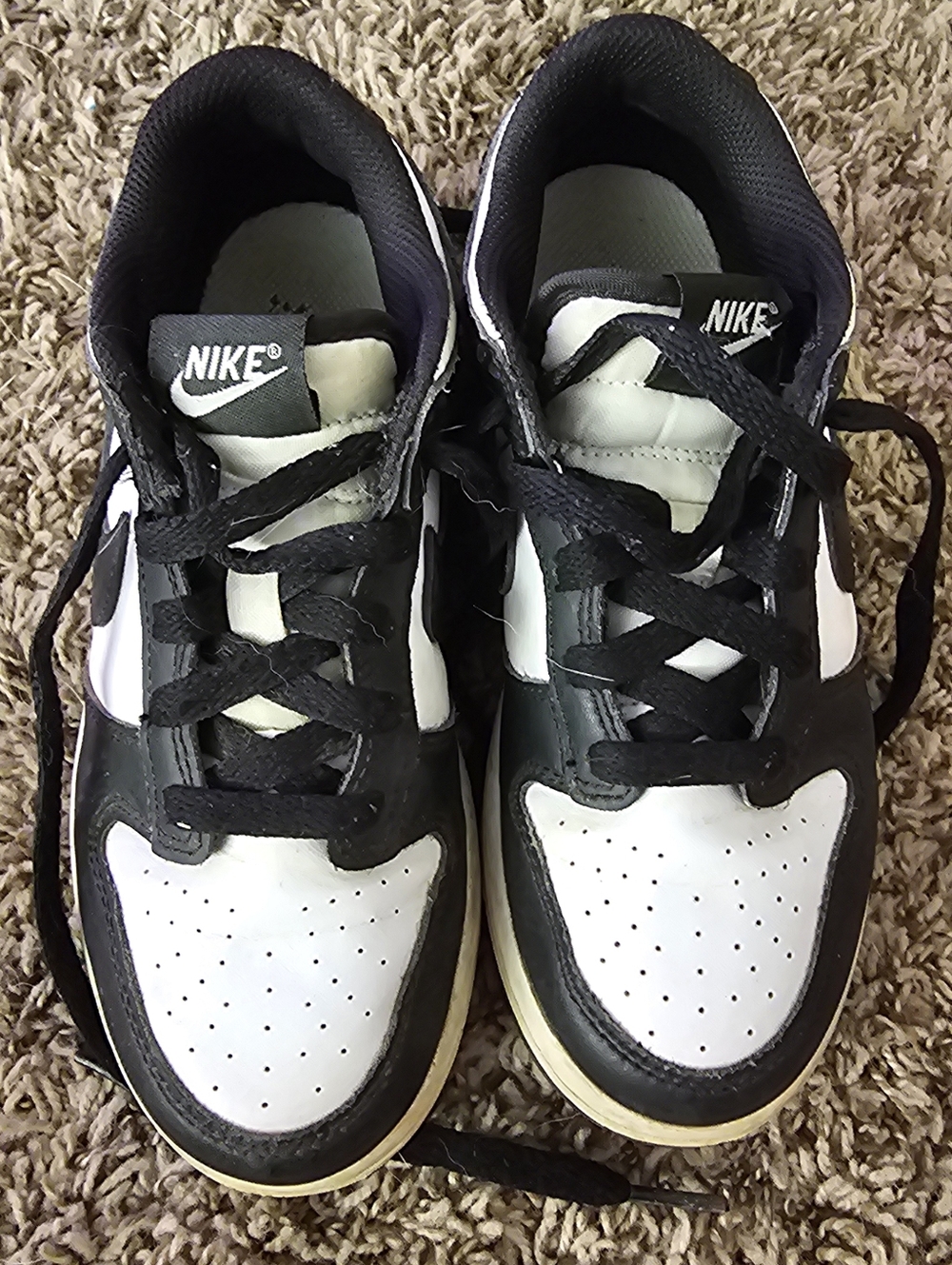 Nike Kids Black And White Low Dunk